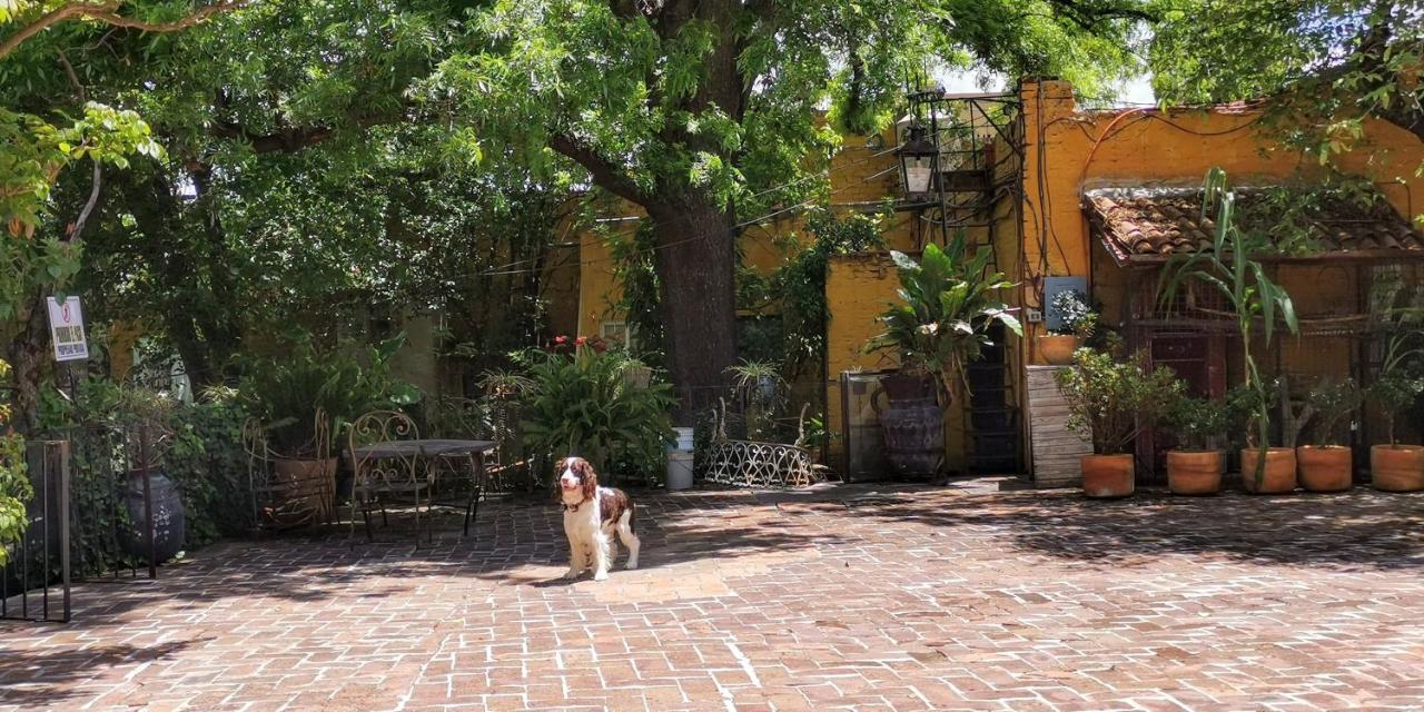 Hotel Sautto San Miguel de Allende Luaran gambar